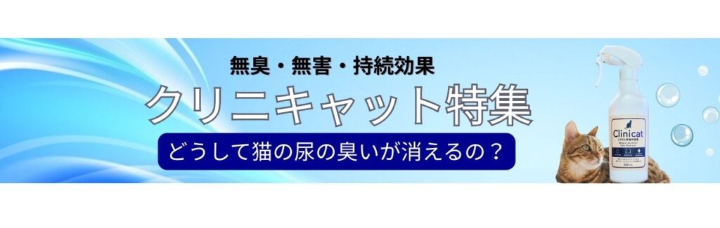 バナー5